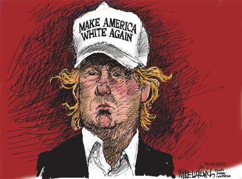 Image result for make america white again cartoon