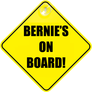 bernie_on_board