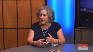 Pamela Powers Hannley on Zona Politics