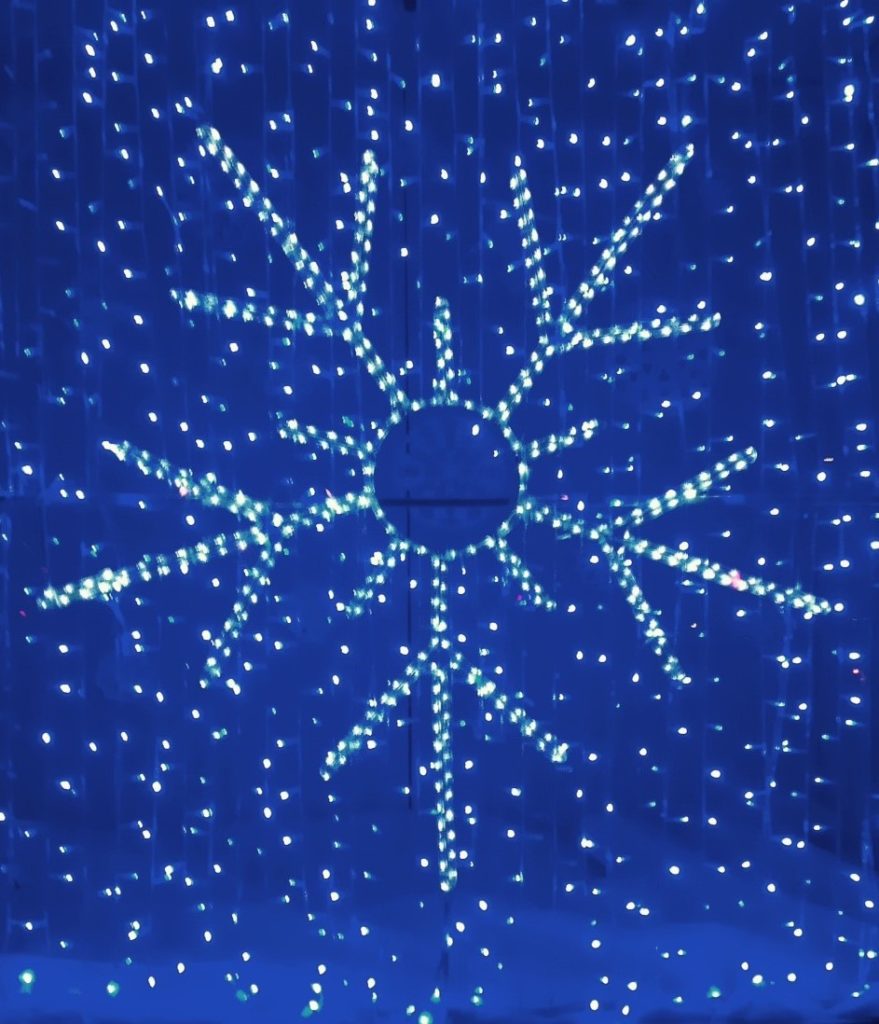 Blue star photo courtesy of Carolyn Classen