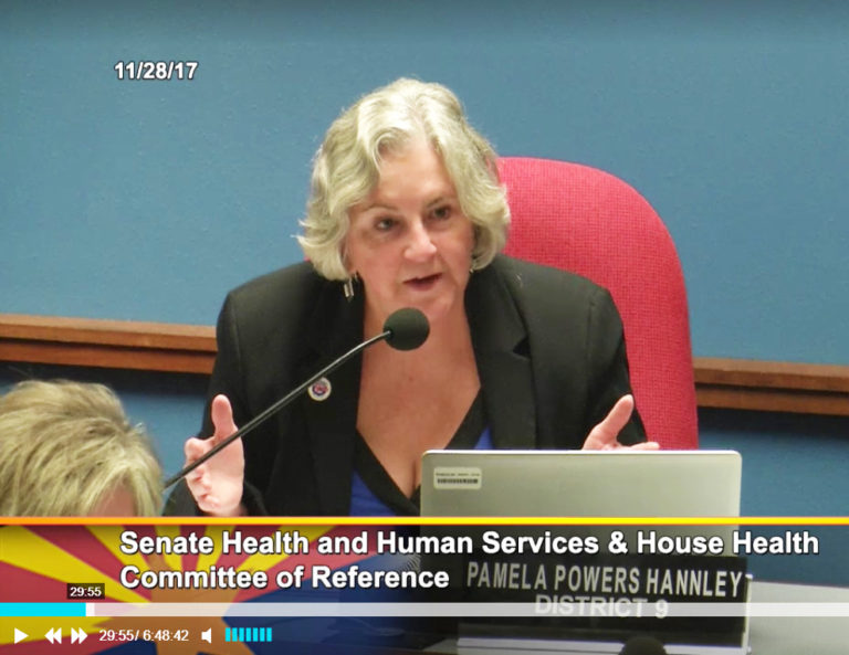 Rep. Pamela Powers Hannley