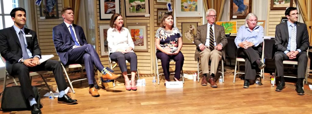 Democratic candidates for Congress in CD2: