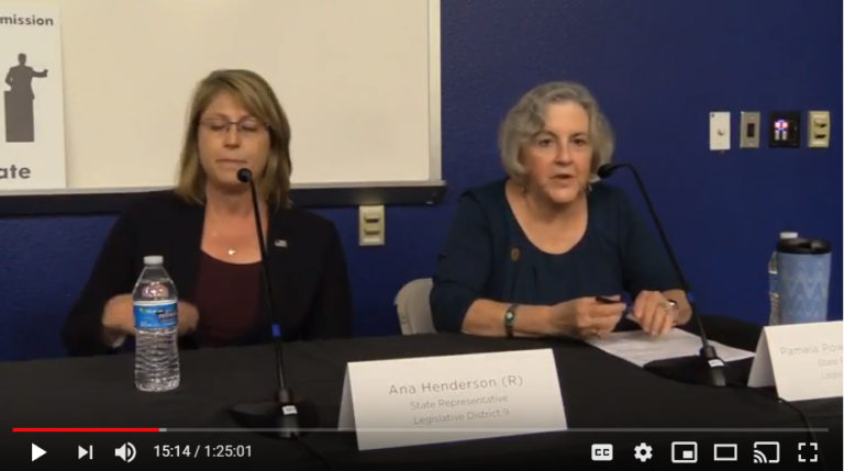 Rep. Pamela Powers Hannley (right) and Republican challenger Ana Henderson.