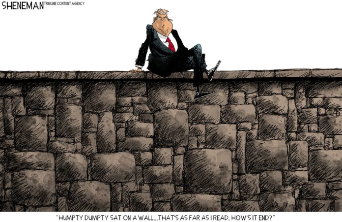 Cartoon_37