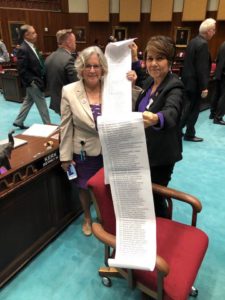 House Reps. Charlene Fernandez and Pamela Powers Hannley