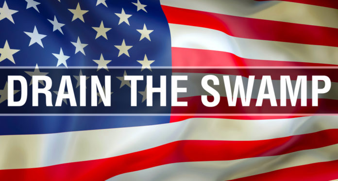 drain the swamp usa flag