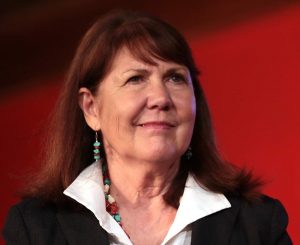 ann kirkpatrick gun background check