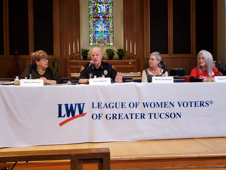 Gun safety panel