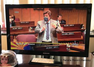 Senate Minority Leader David Bradley