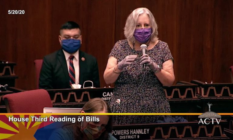 Rep. Pam Powers Hannley