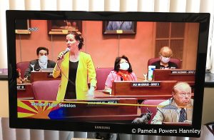 Senator Michelle Ugenti-Rita