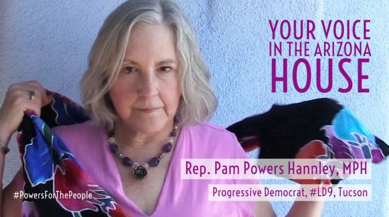 Rep. Pam Powers Hannley