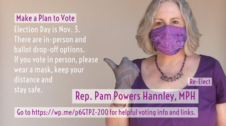 Rep. Pam Powers Hannley