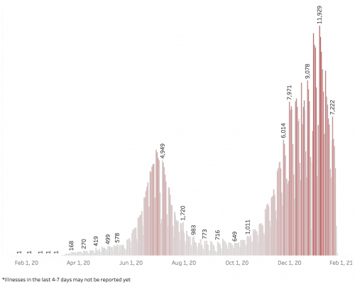 Infection Rate Chart
