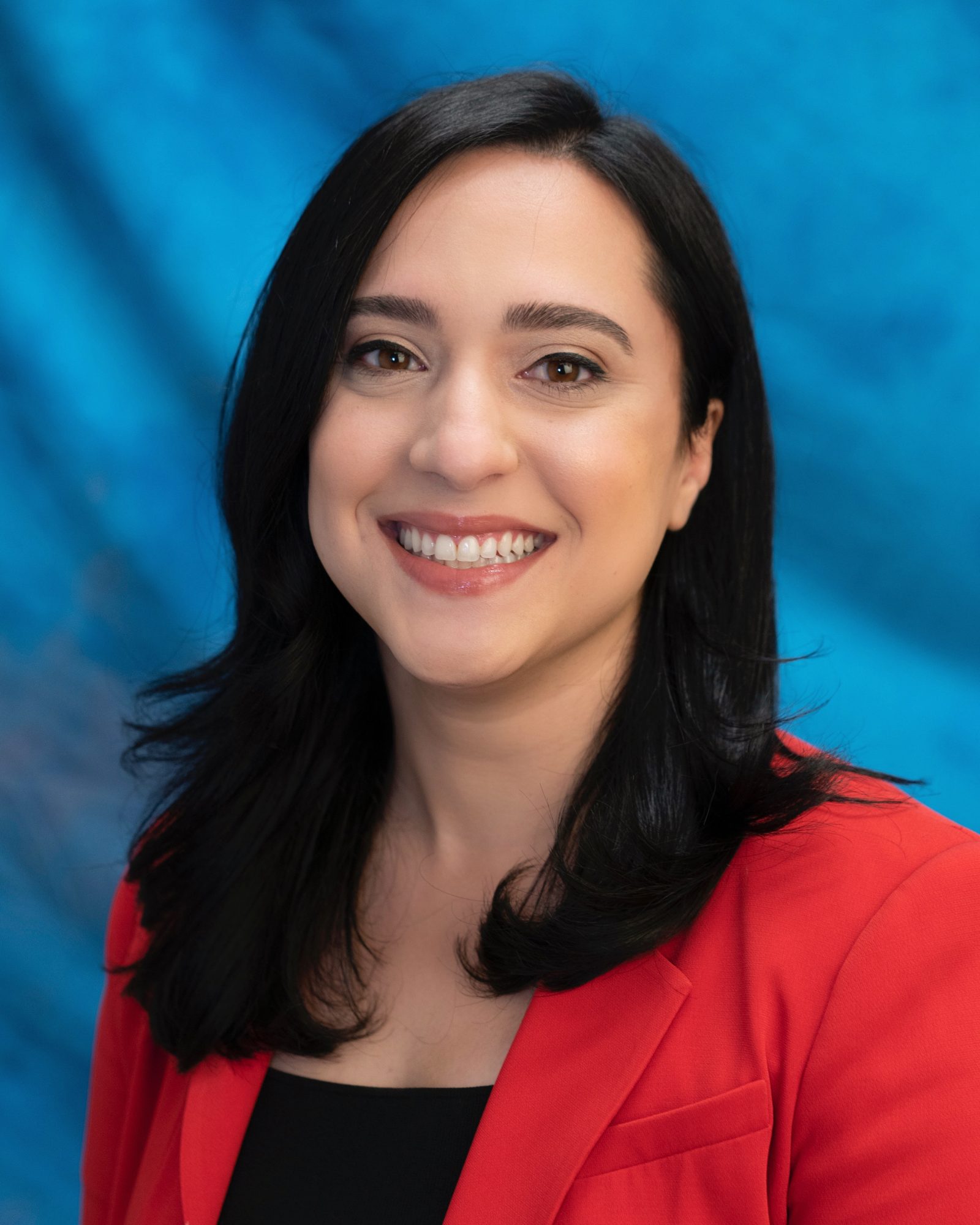 Read Let the Congressional Races Begin Ansari and Shah Declare Their