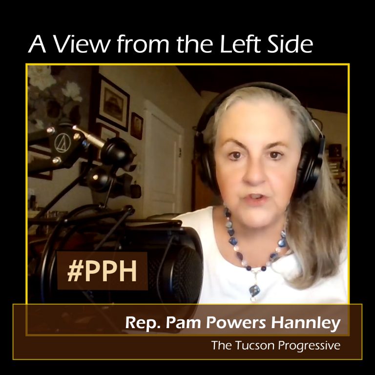 Rep. Pam Powers Hannley