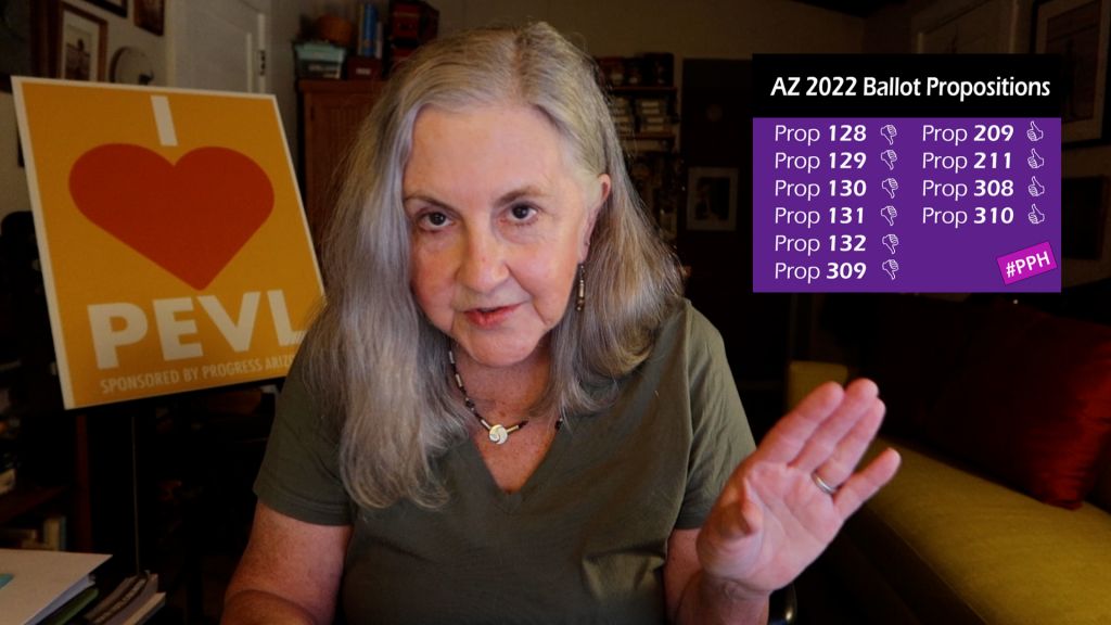 Rep. Pam Powers Hannley on ballot propositions