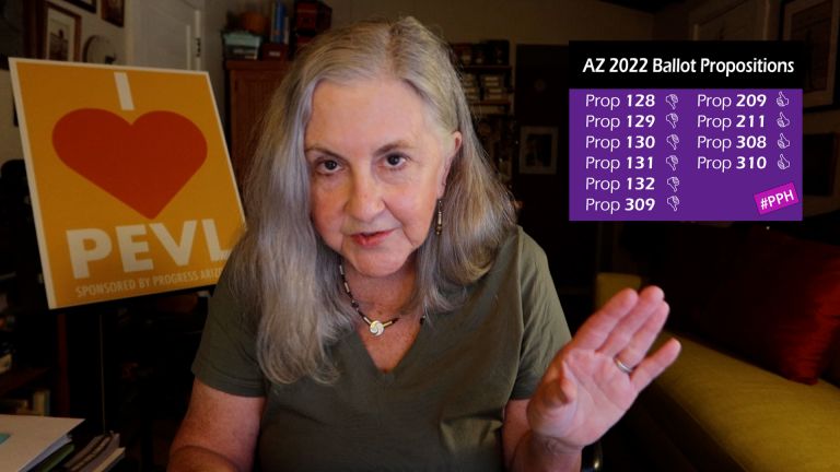 Rep. Pam Powers Hannley on ballot propositions