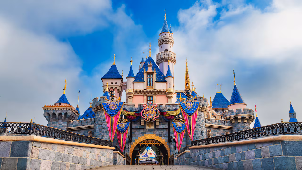 Forget Frequent Flier Miles: Arizona’s Richest Use the ESA Program to Travel to Disneyland
