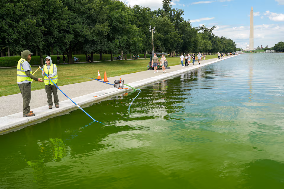 The Green Reflecting Pool is a Funny and Important Story, But Other Events Also Deserve the Same Amount of Attention